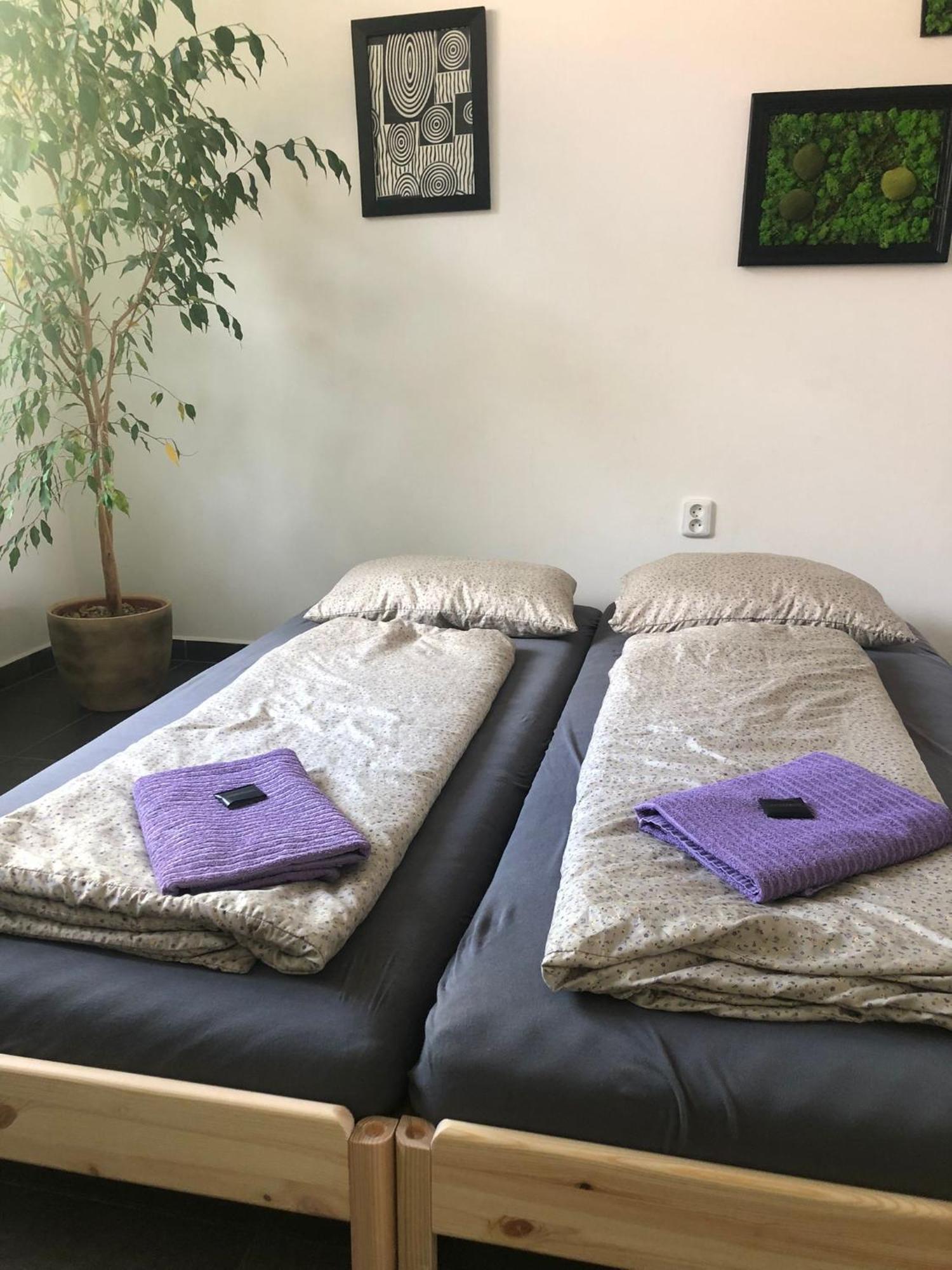Apartman Wellness Veseli Veseli nad Moravou Luaran gambar